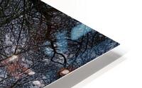 path HD Metal print