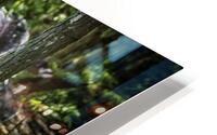 jungle HD Metal print