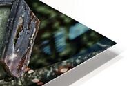 sparrow duplex HD Metal print