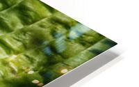 green HD Metal print
