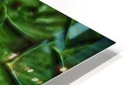 green leaves HD Metal print