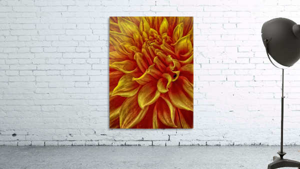 pumpkin yellow Wall Preview
