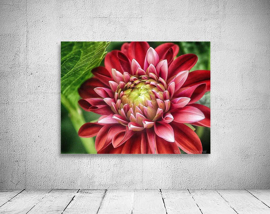 the hidden Wall Preview