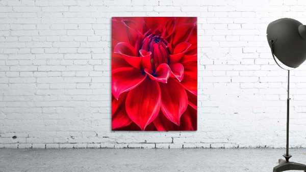 red Wall Preview