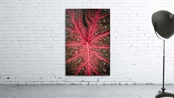 Red Leaf Wall Preview