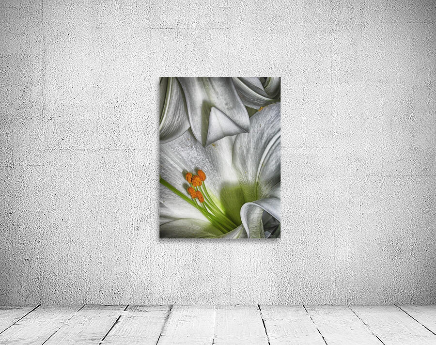 lily Wall Preview