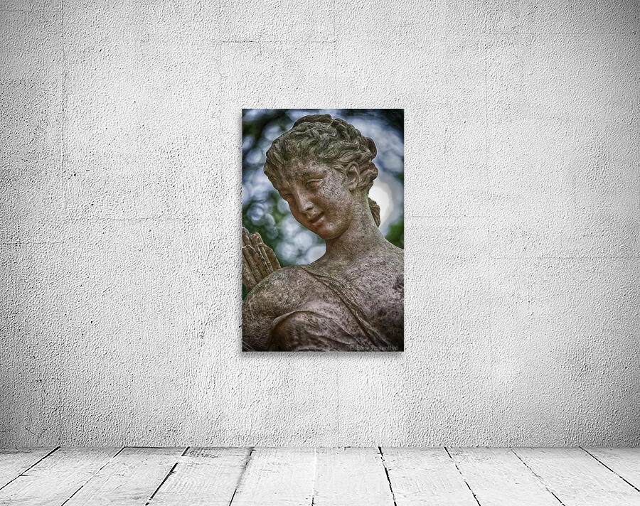 diana Wall Preview