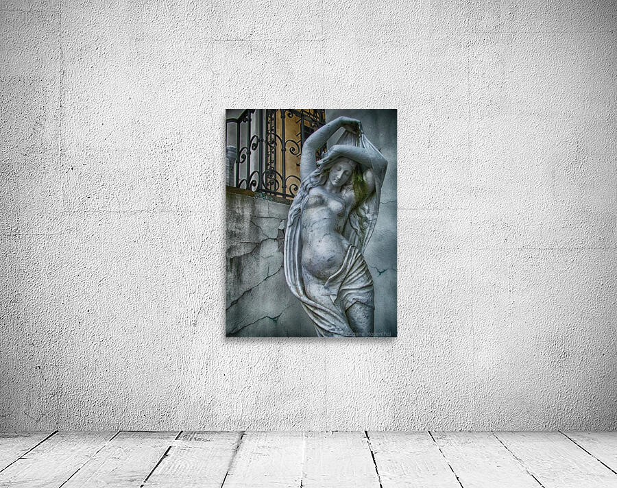 venus Wall Preview