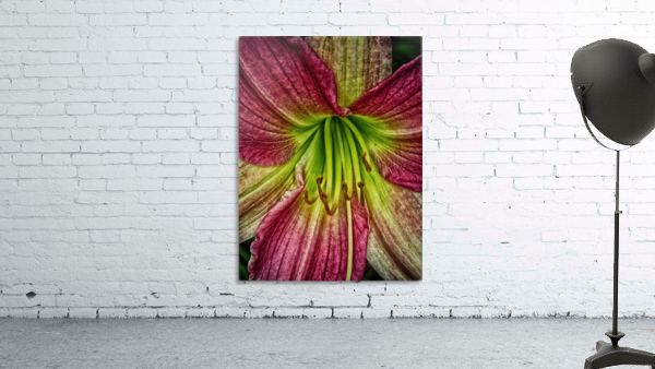 flower five Wall Preview
