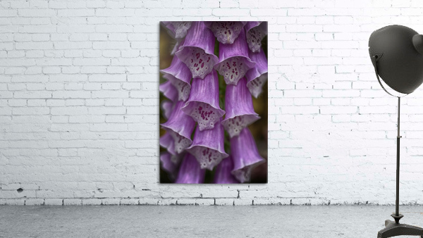 Bells Wall Preview