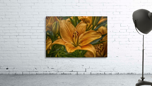 Lily 2 Wall Preview