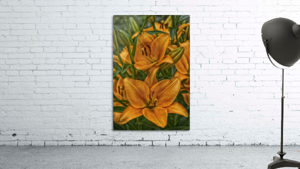 Lily 1 Wall Preview