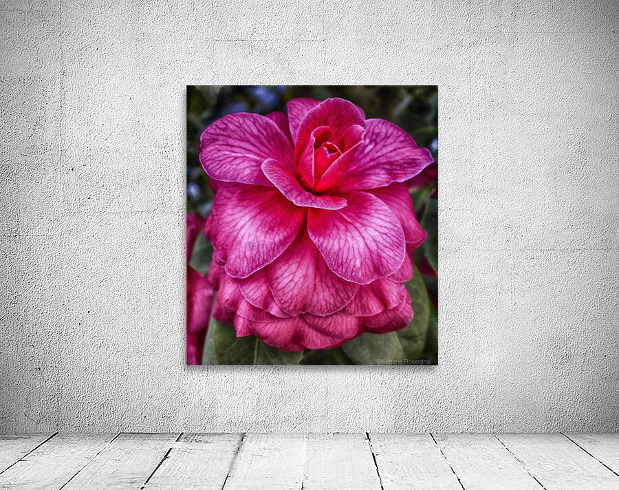 flower 16 Wall Preview