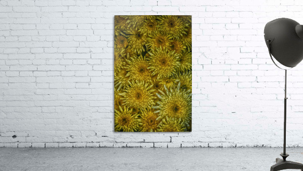 flower 18 Wall Preview