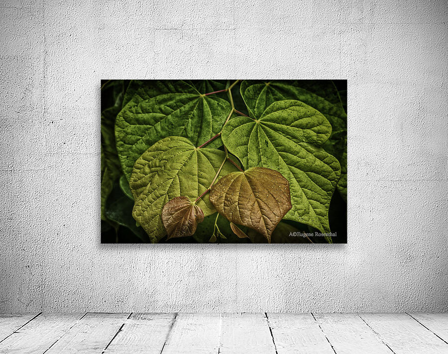 leaves Wall Preview