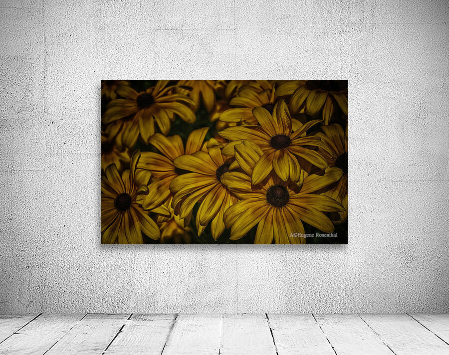 late afternoon Wall Preview