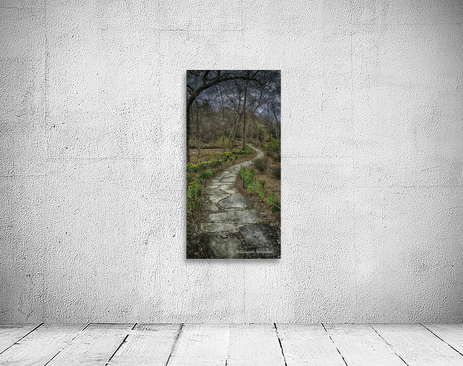 path Wall Preview