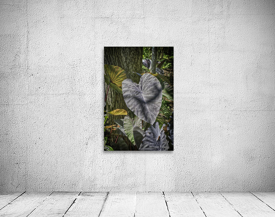 jungle Wall Preview