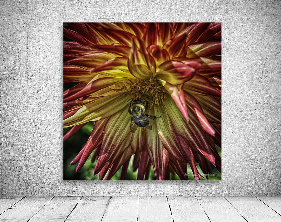 visitor three Wall Preview