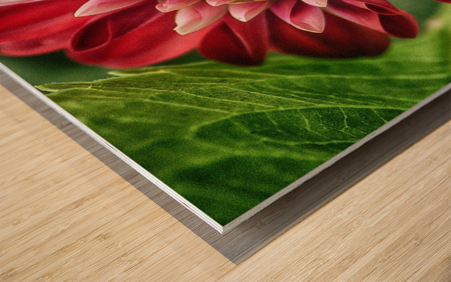 the hidden Wood print