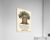 Continuous Learning Wisdom Tree Ring Illustration Acrylic Print