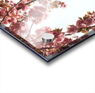 Springtime Cherry Blossoms Acrylic print