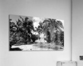 Paradise in B&W Acrylic Print