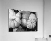 Gourds Galore Acrylic Print