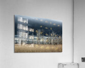 Carolina Storm Brewing Acrylic Print