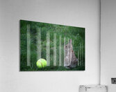 Softball Bunny Acrylic Print