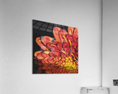 Falling For Mums II Acrylic Print