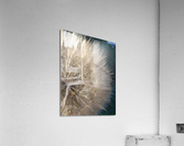 Wishful Thinking II Acrylic Print