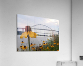 Susans By The Bridge Acrylic Print