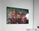 Pretty Pleasing Peonies I Acrylic Print