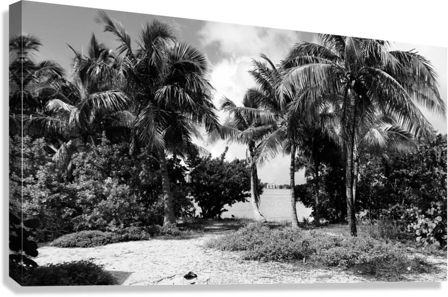 Paradise in B&W Canvas Print
