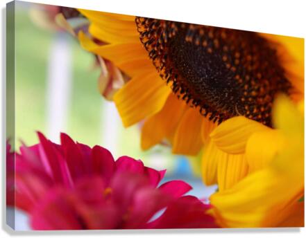 Gossiping Flowers Canvas Print