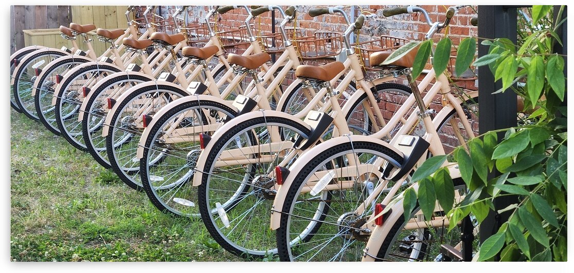 Peachy Bikes by Nina Haman Art Photography