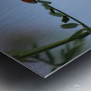 Lonesome Ladybug Metal print