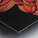 Falling For Mums II Metal print