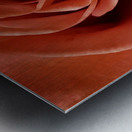 Resilient Rose Metal print