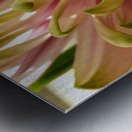 Million Dollar Mum Metal print