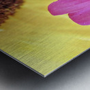 Flower Conversations Metal print