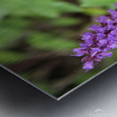 Hoverfly on Sage Metal print