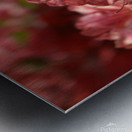 Azaleas II Metal print