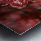 Azaleas III Metal print