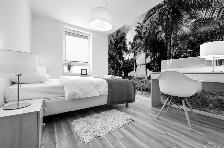 Paradise in B&W Mural print