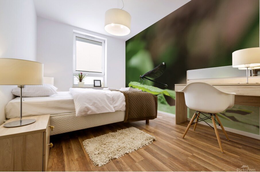 Daring Damselfly Mural print