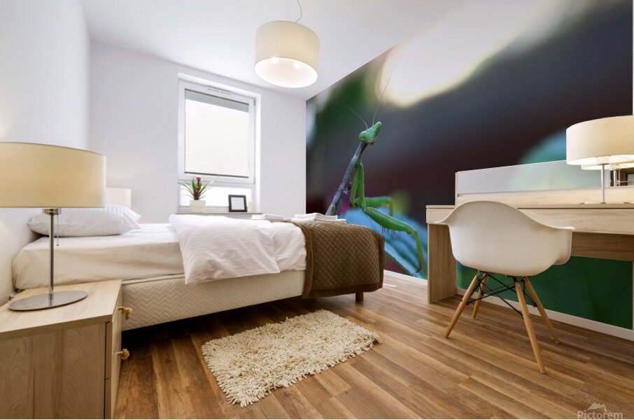 Posing Praying Mantis II Mural print