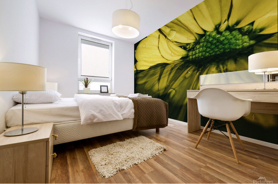Dipping Daisy Mural print
