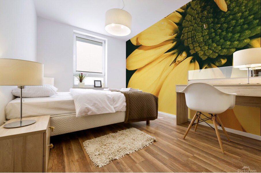 Lazy Daisy Mural print